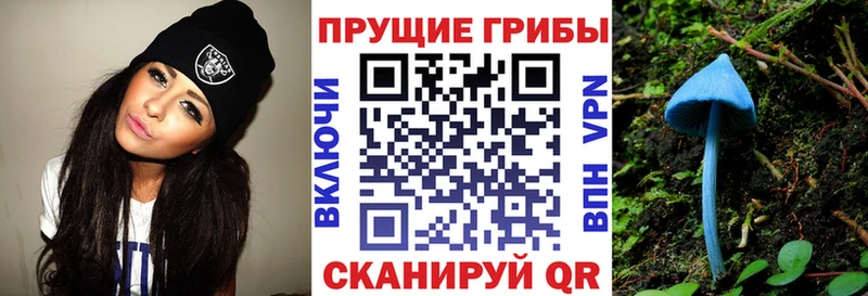 Псилоцибиновые грибы Psilocybe  что такое   omg tor  Бугуруслан 