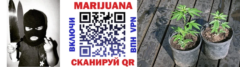 Каннабис AK-47  закладка  площадка Telegram  Бугуруслан 